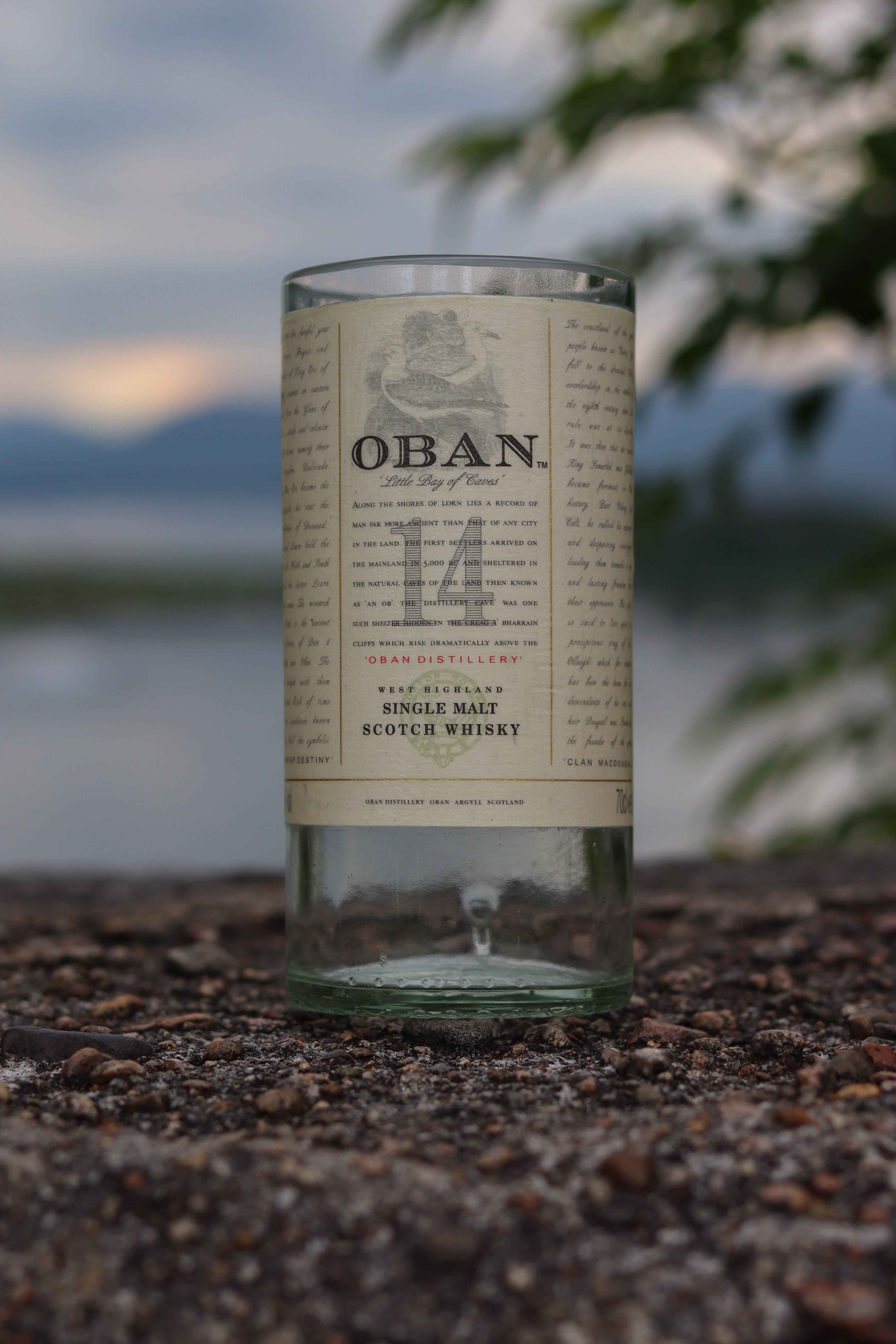 Whisky Bottle Glasses