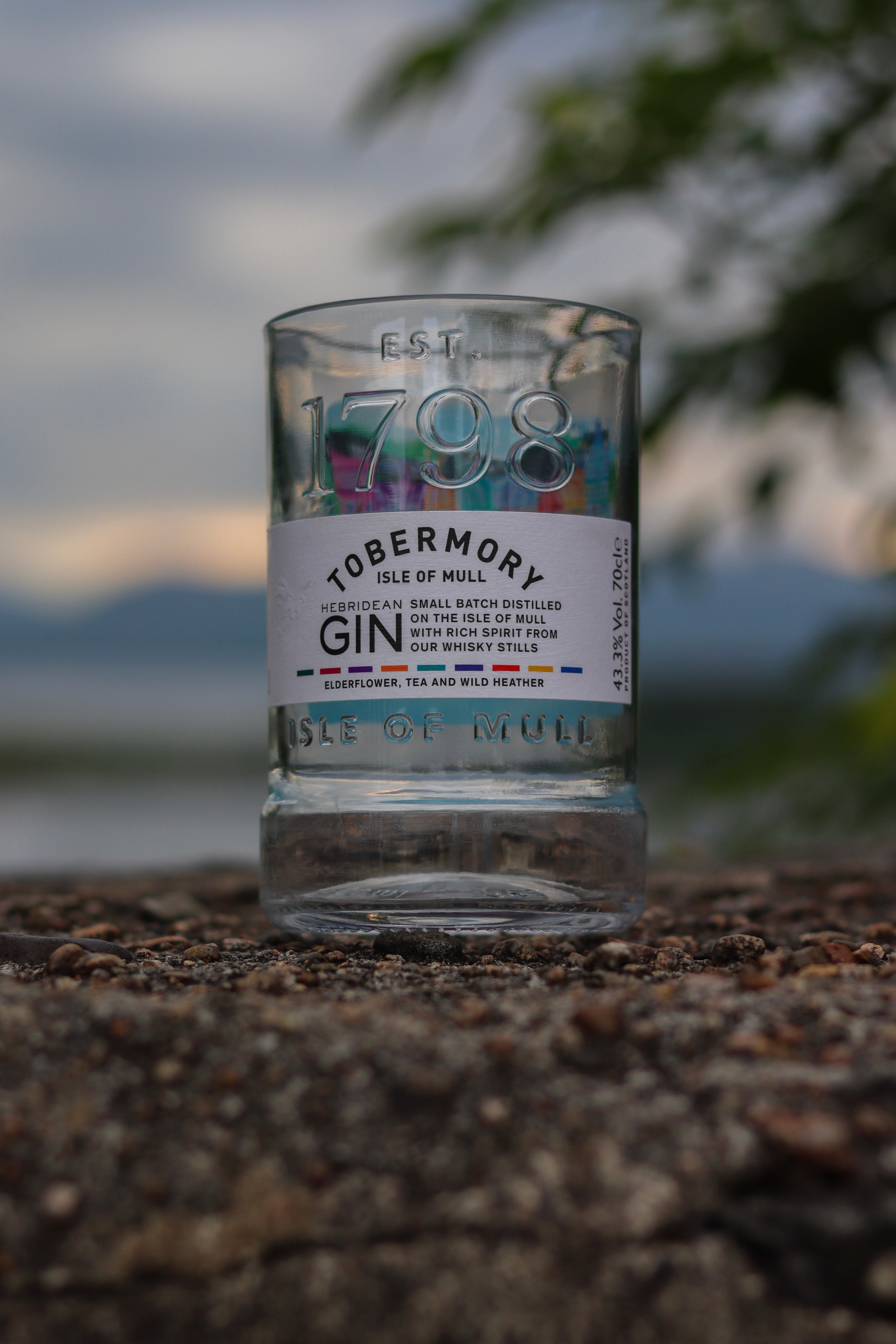 Gin Bottle Glasses